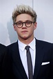 Niall Horan Picture 84 - American Music Awards 2015 - Arrivals