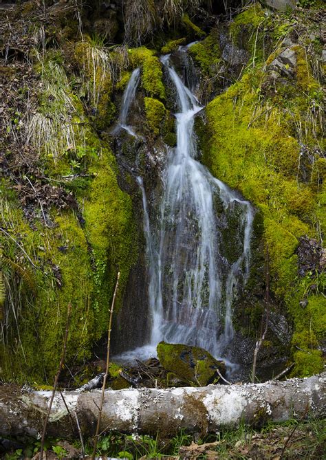 Olympic Peninsula Waterfalls Tkup57 Flickr