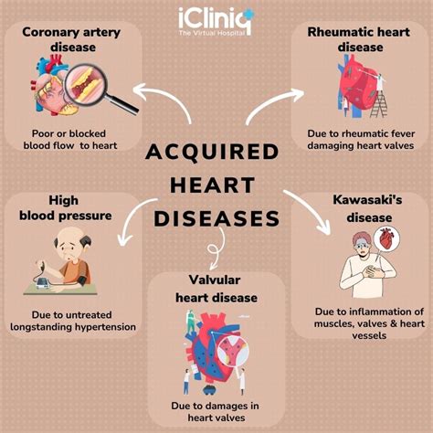 Cardiovascular Disease Symptoms Causes Types Risk Fac