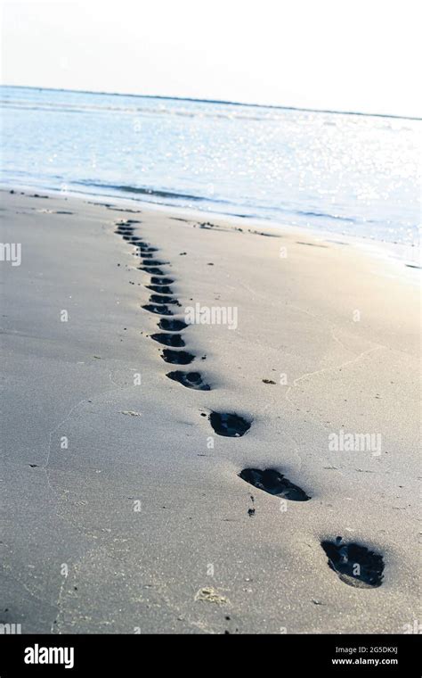 Footprints On The Beach Sand Traces On The Beach Footsteps On The