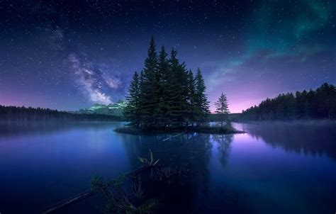 Northern Lights Forest Wallpapers Top Free Northern Lights Forest