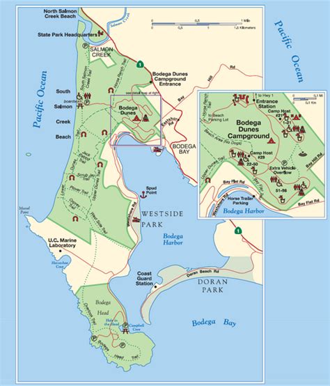 Map Of Doran Beach Campground Beach Map
