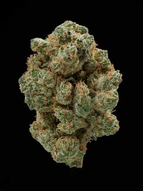 Blog The Best Strains Of All Time 100 Popular Cannabis Strains To Try Before You Die