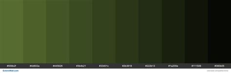 Shades Of Dark Olive Green 556b2f Hex Color Green Colour Palette