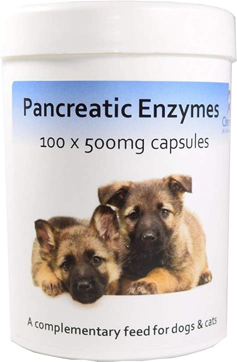 Pancreatic Digestive Enzyme Capsules For Dogs And Cats Amylase And