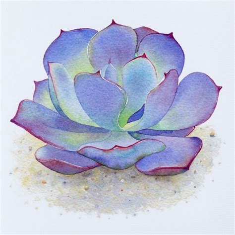 Pin By Diana Jackson On Succulent Succulent Painting Watercolor