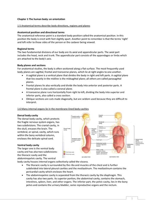 Summary Anatomy And Physiology Part 1 Chapter 1 The Human Body An