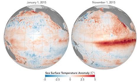 El Niño Pacific Wind And Current Changes Bring Warm Wild Weather