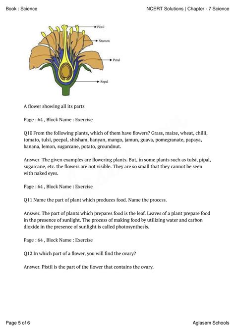 Ncert Solutions Class 6 Science Chapter 7 Getting To Know Plants