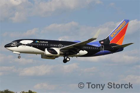 N715sw The Second Of Southwests Two 737 700s In The Shamu Flickr