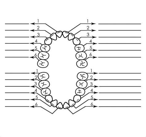 Free Printable Dental Charting Forms