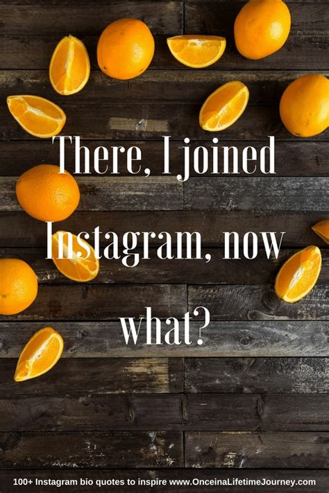 300 Instagram Bio Quotes And Caption Ideas To Inspire