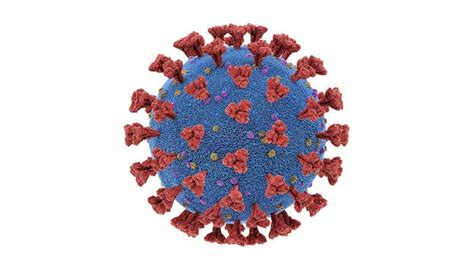 Notre Implication Dans La Guerre Contre Le Coronavirus