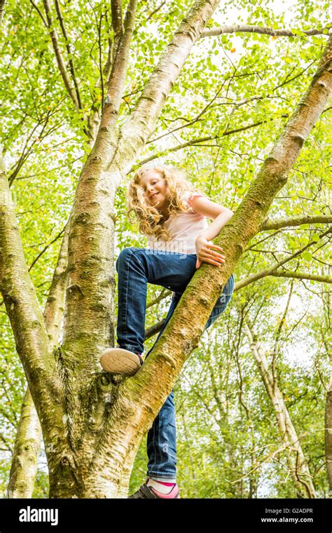 Girl Climbing Tree Girl Climbing Tree Hi Res Stock Photography And