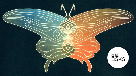 Is the Butterfly Effect Real?