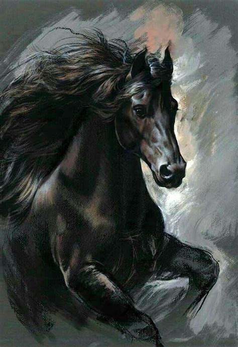 Black Beauty Horse Drawings Wallpapercarsveneno