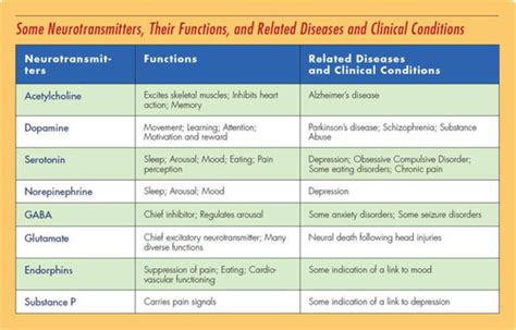 Neurotransmitters And Their Functions Chart