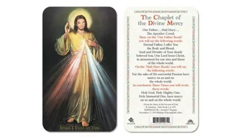 The Chaplet Of The Divine Mercy Laminated Prayer Cards Pack Of 25 English T N 2299 Picclick
