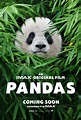 Pandas (2018) - Whats After The Credits? | The Definitive After Credits ...