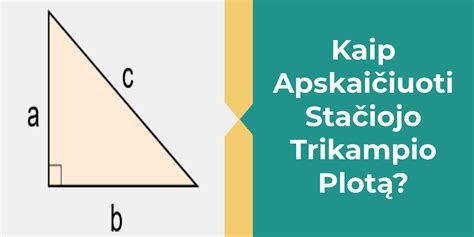 Stačiojo Trikampio Plotas Kaip Apskaičiuoti Prestige Idea