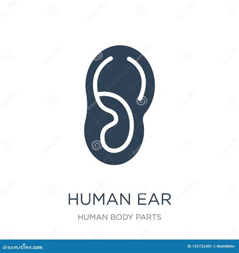 Human Ear Icon In Trendy Design Style Human Ear Icon Isolated On White