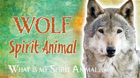 Wolf Spirit Animal Wolf Totem And Power Animal Wolf Symbolism