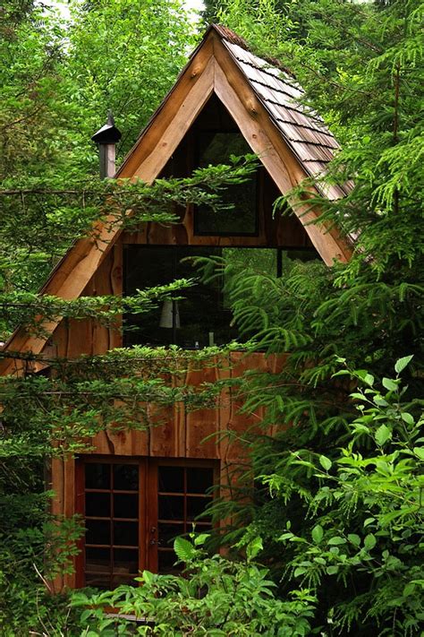 This Amazing Forest House Was Built For Just 11000 With Locally Found