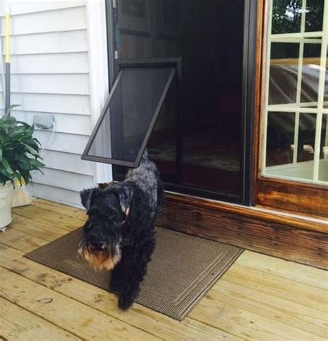 Install dog doors for sliding glass doors today. Security Boss Pet Screen Door in 2020 | Pet screen door, Sliding screen doors, Pet patio door