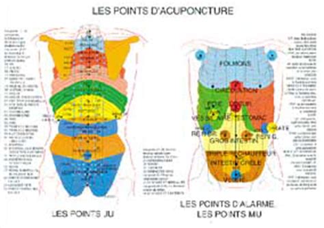 Site internet carte points d'acupuncture. Planche plastifiée Points d'acupuncture (A4)