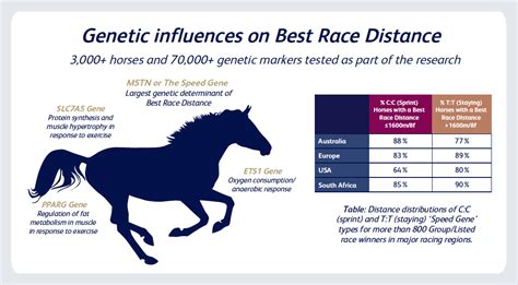 The ‘speed Gene Is The Main Determinant Of Race Distance Plusvital
