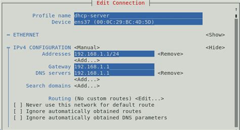 Install And Configure Centos Dhcp Server And Client Hot Sex Picture