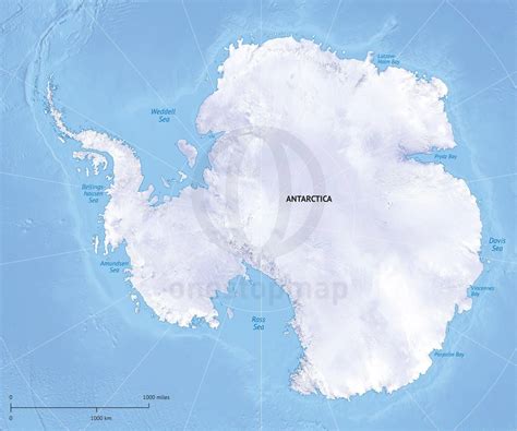 Vector Map Antarctica Continent Relief One Stop Map