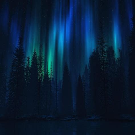 Northern Lights | Northen lights, Aurora borealis northern lights, Northern lights wallpaper