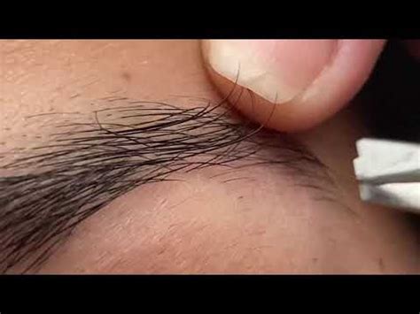 Eyebrow Plucking Satisfying Youtube
