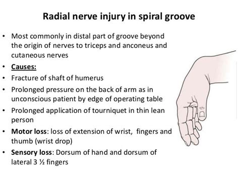 5 Nerve Injuries Of Upper Limb