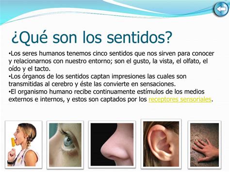 Ppt Los Sentidos Powerpoint Presentation Free Download Id4866774