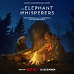 'The Elephant Whisperers' (2022) - A Netflix Documentary that Will Melt ...