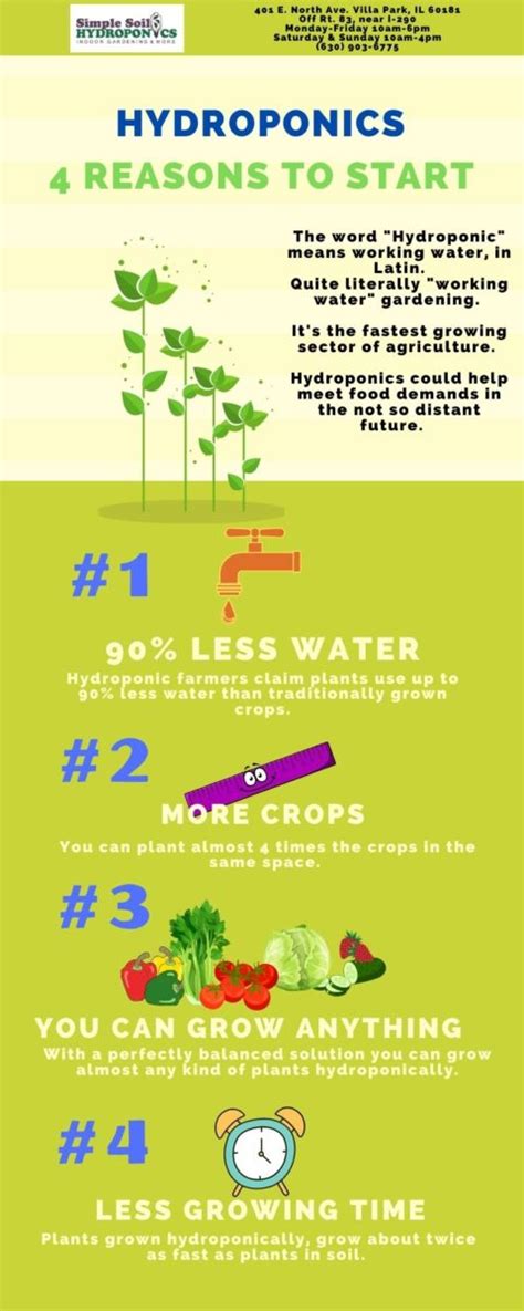 Getting Started With Hydroponic Gardening Infographic Simple Soil