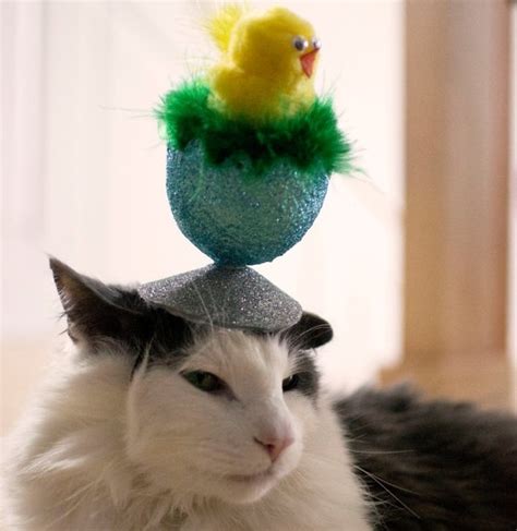 Ten Cute Pictures Of Cats Wearing Easter Bonnets