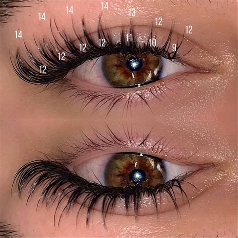 wispy wet set lash map in 2022 lashes fake eyelashes lash extensions makeup perfect