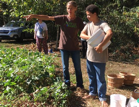 Permaculture Workshop Skill Day