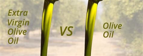 Extra Virgin Olive Oil Vs Olive Oil Blog Mas A El Altet