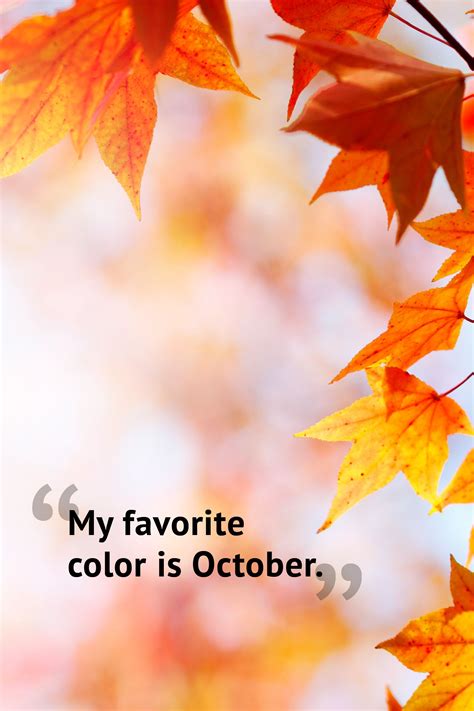 10 Beautiful Fall Quotes To Celebrate The Season Fall Season Quotes