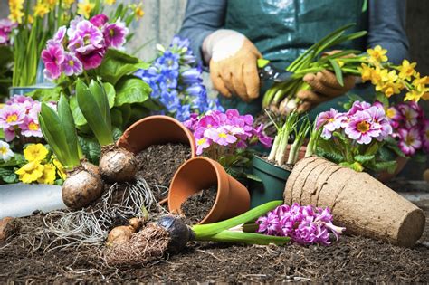 here s what you need to know about gardening