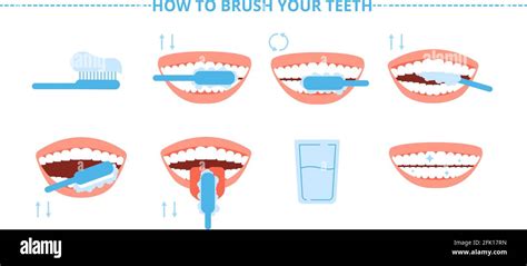 Teeth Hygiene Brush Washing Tooth Toothbrush And Toothpaste Steps