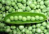 Reasons: Why Mendel Chose Pea Plant (Pisum Stavium) For His Breeding ...