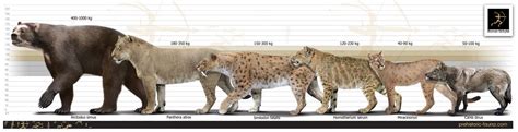 Extinct Predators Of North America Pleistocene By Rom Udeviantart