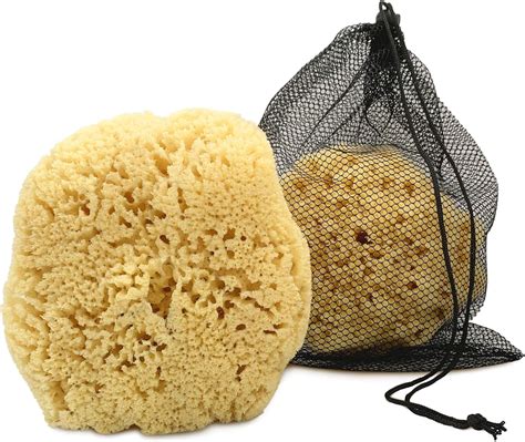 Natural Sea Sponge Online Price Save 58 Jlcatjgobmx