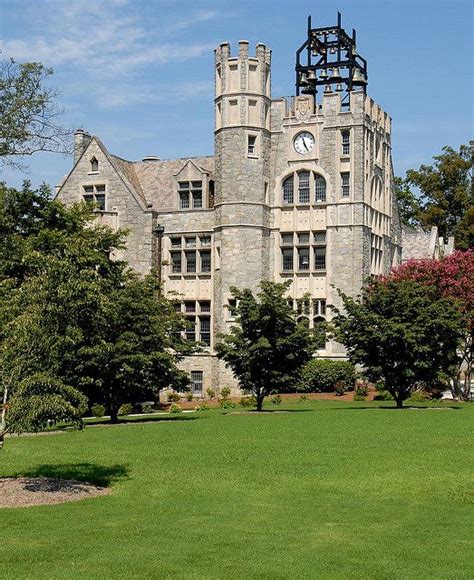 Horsing Around At Home Oglethorpe University