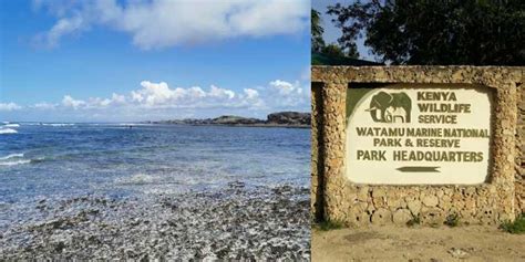 Watamu Marine National Park And Reserve Entry Fees